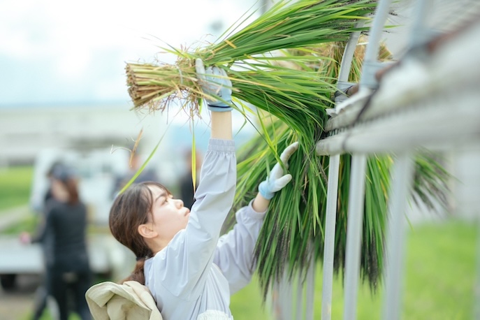 農業ボランティア作業中をイメージした画像